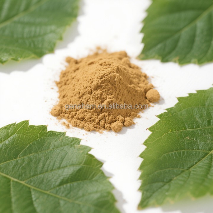 Premium Customized 1% Dnj Mulberry Leaf Extract Powder - Halal Certified