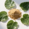 Premium Customized 1% Dnj Mulberry Leaf Extract Powder - Halal Certified