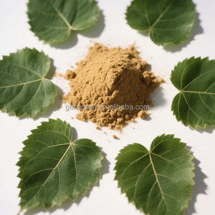 Premium Customized 1% Dnj Mulberry Leaf Extract Powder - Halal Certified