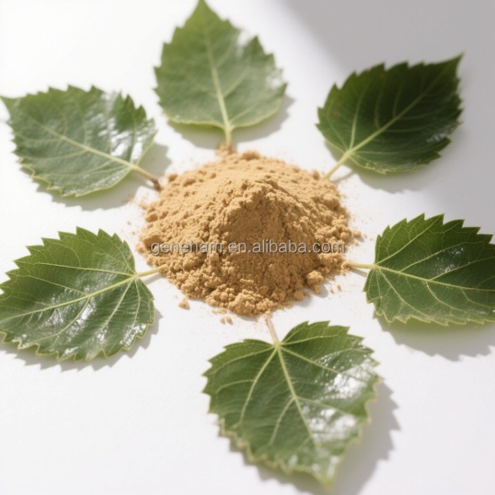Premium Customized 1% Dnj Mulberry Leaf Extract Powder - Halal Certified