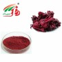 High Quality Hibiscus Flower Extract 10% Anthocyanidins