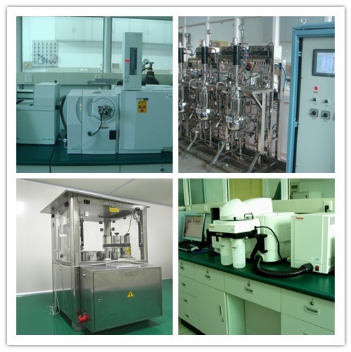 High Quality Hibiscus Flower Extract 10% Anthocyanidins