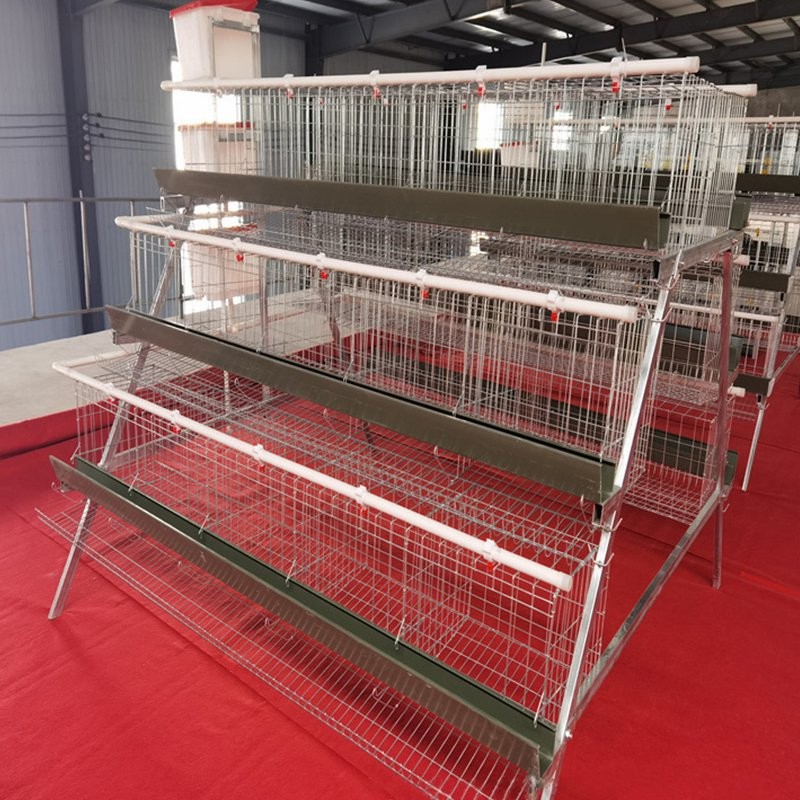 Cheap Large Walk in Chicken Run Coop and Chicken Cage Hen Houses