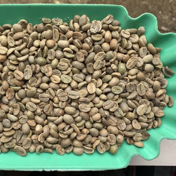 Best Price Arabica Green Coffee Beans High Quality Supplier From Yunnan