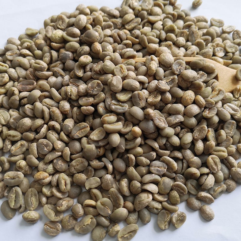 Best Price Arabica Green Coffee Beans High Quality Supplier From Yunnan