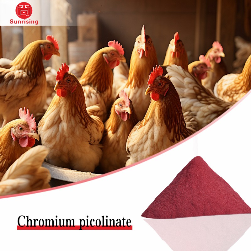 Chromium Picolinate Source Factory Factory Raw Material Powder 14639-25-9 Animal Feed Additives