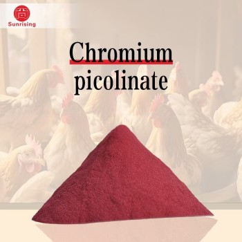 Chromium Picolinate Source Factory Factory Raw Material Powder 14639-25-9 Animal Feed Additives