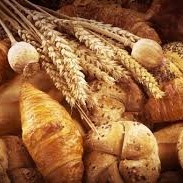 High Quality Vegetable Fat Powder for Bakery and Ice Cream