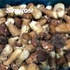 Professional IQF Mushrooms Manufacturer: Supplier of High-Quality IQF Boletus Edulis Wholes for Bulk Orders