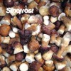 Professional IQF Mushrooms Manufacturer: Supplier of High-Quality IQF Boletus Edulis Wholes for Bulk Orders