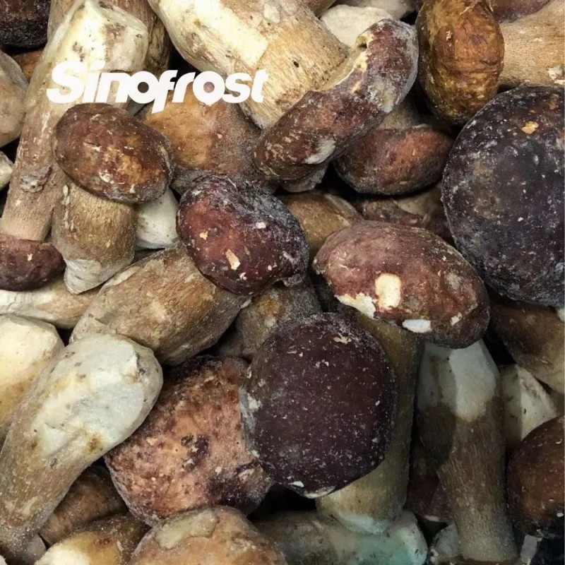 Professional IQF Mushrooms Manufacturer: Supplier of High-Quality IQF Boletus Edulis Wholes for Bulk Orders