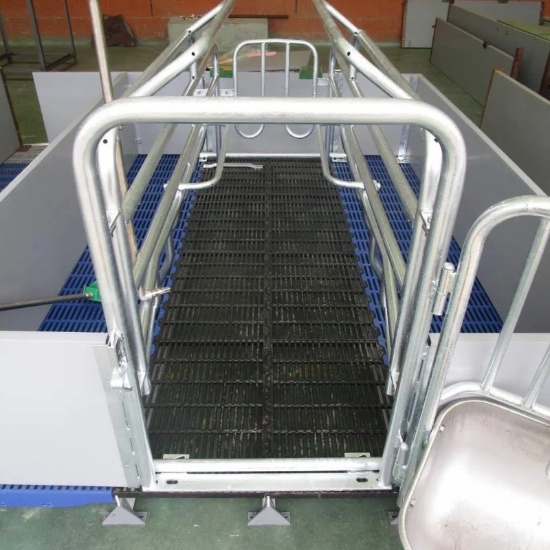 Factory Direct Sale Cheap Farrowing Crates for Pigs