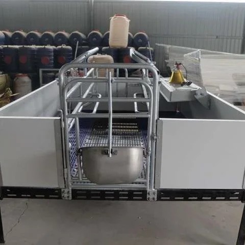 Factory Direct Sale Cheap Farrowing Crates for Pigs