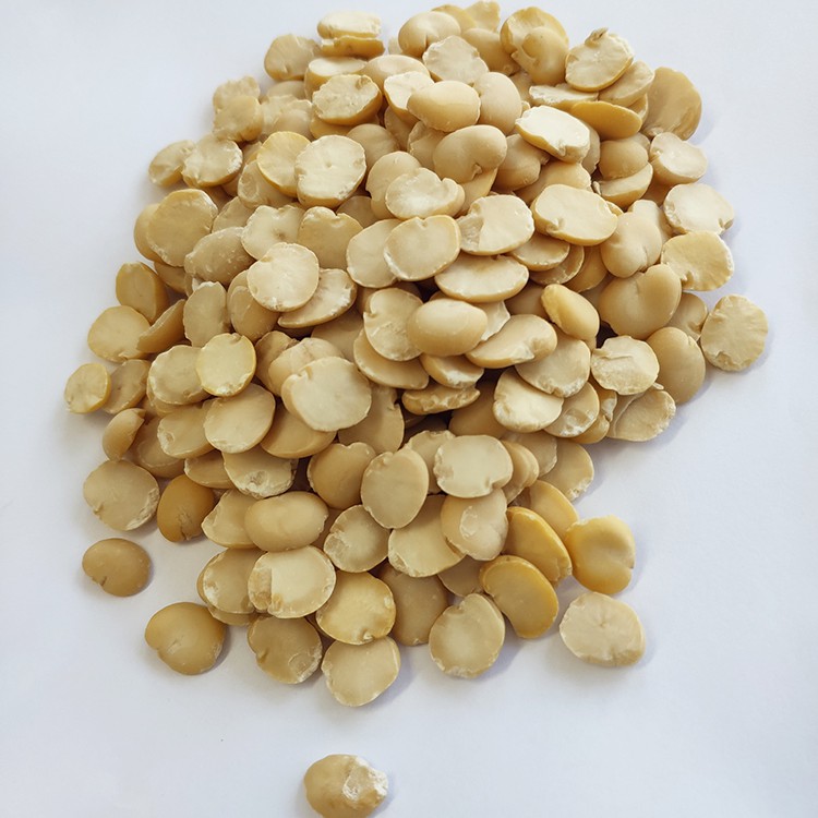 Peeled Split Broad Beans Peeled by Machine Wholesale