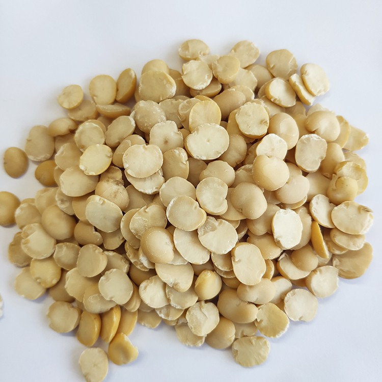 Peeled Split Broad Beans Peeled by Machine Wholesale