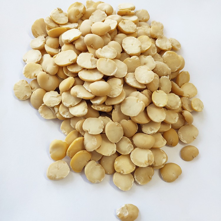 Peeled Split Broad Beans Peeled by Machine Wholesale