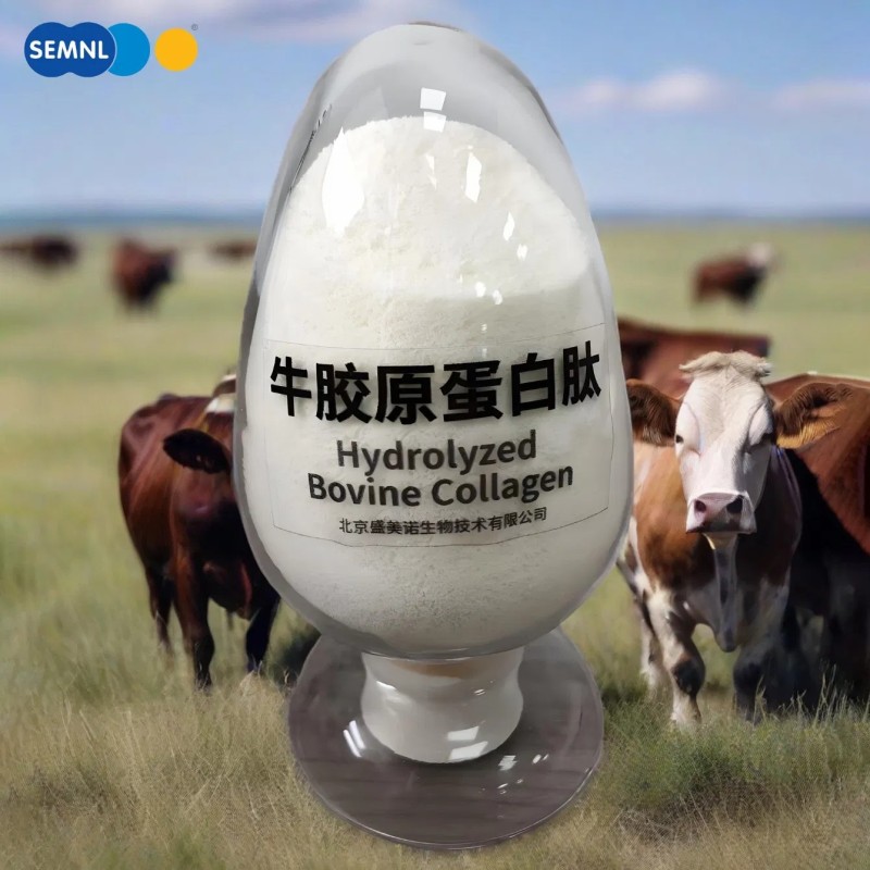 Top Quality Food Grade Hydrolyzed Bovine Collagen Powder Rock Bottom Price
