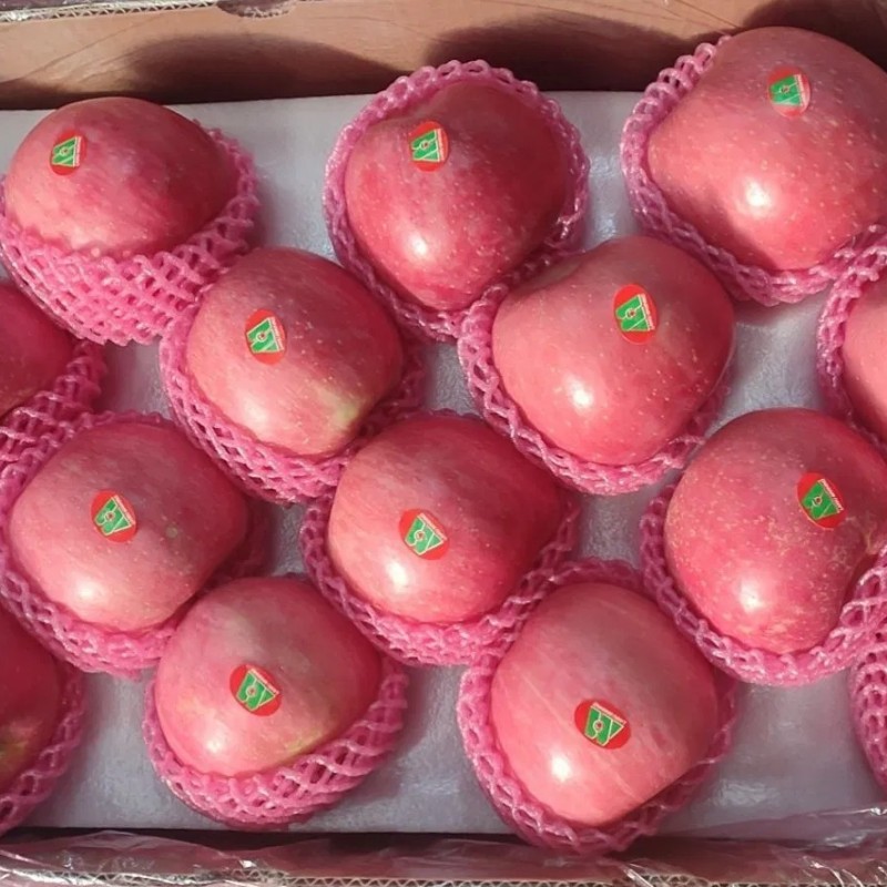 Chinese Best Hot Sale Good Quality Certificated High Quality Fresh Apple From China