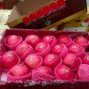 Chinese Best Hot Sale Good Quality Certificated High Quality Fresh Apple From China