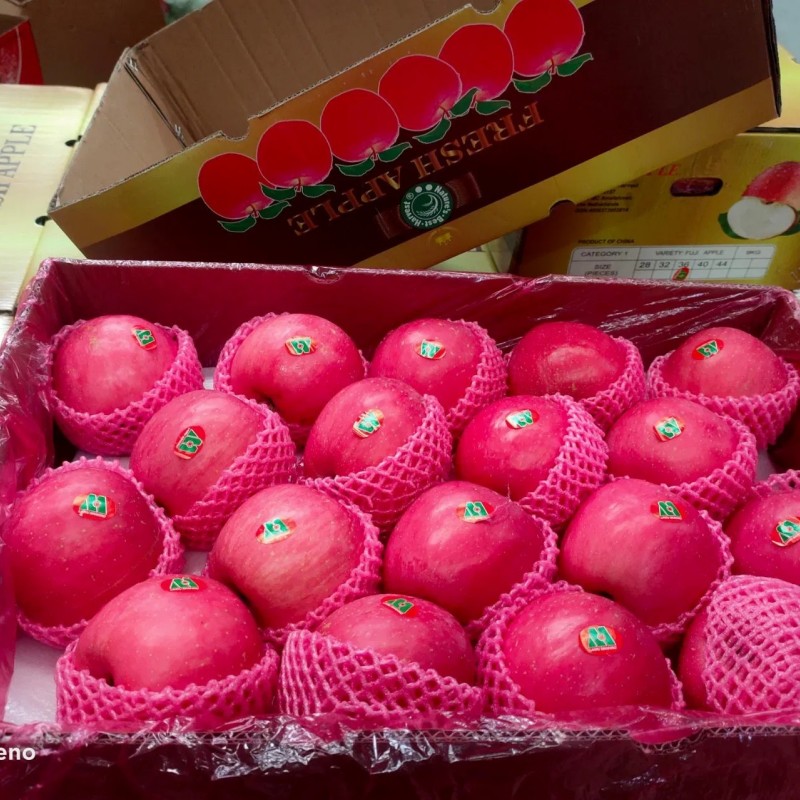 Chinese Best Hot Sale Good Quality Certificated High Quality Fresh Apple From China