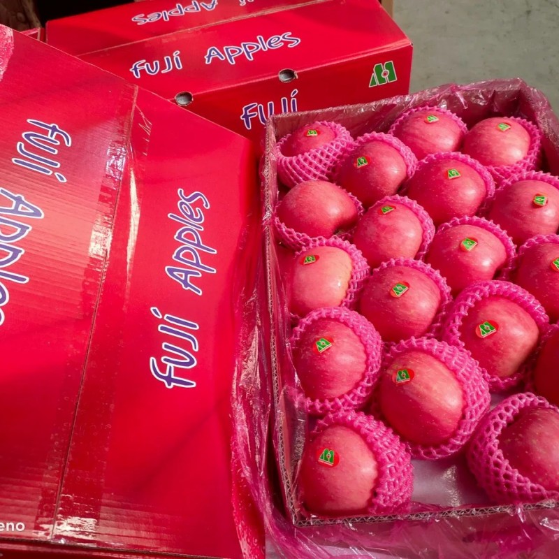 Chinese Best Hot Sale Good Quality Certificated High Quality Fresh Apple From China