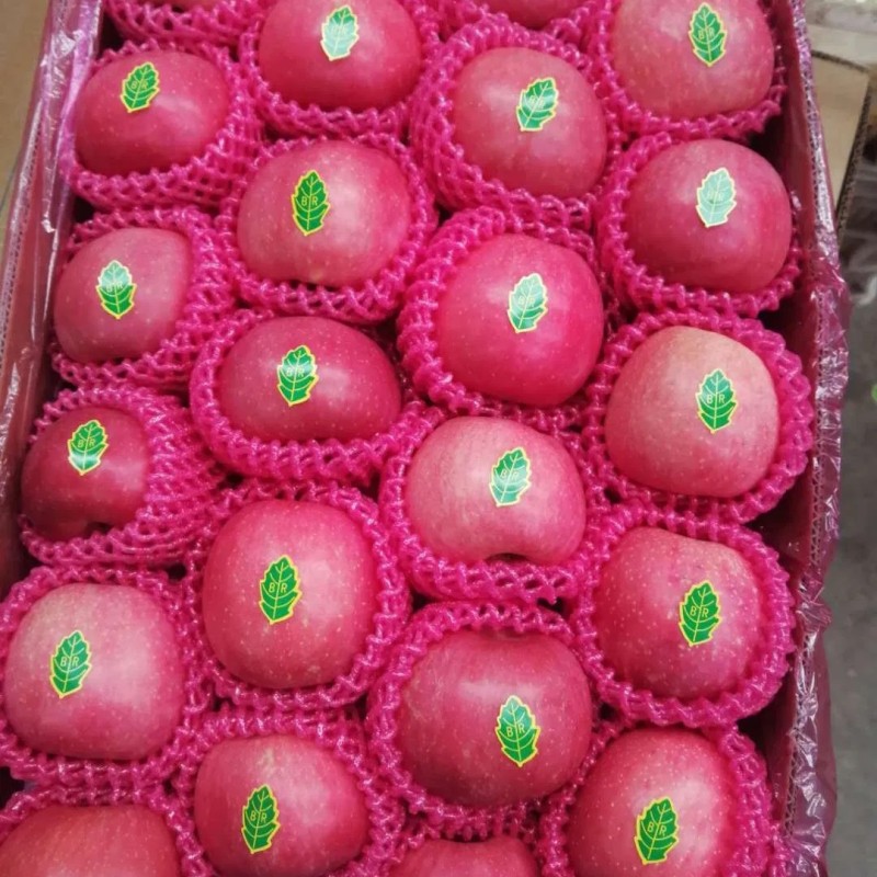 Chinese Best Hot Sale Good Quality Certificated High Quality Fresh Apple From China