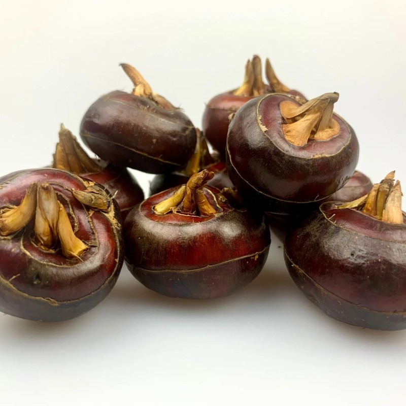 Water Chestnut Whole Slice Canned Vegetables Good Price