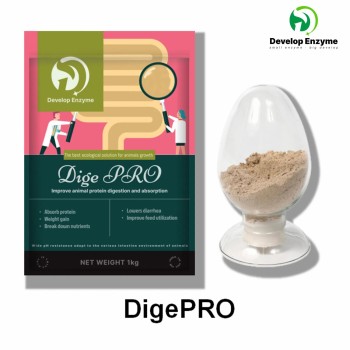 Factory Supply Livestock Poultry Feed Additive Thermostable Protease Powder Granule Enzyme