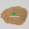 Factory Supply Livestock Poultry Feed Additive Thermostable Protease Powder Granule Enzyme