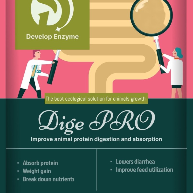 Factory Supply Livestock Poultry Feed Additive Thermostable Protease Powder Granule Enzyme