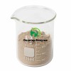 Factory Supply Livestock Poultry Feed Additive Thermostable Protease Powder Granule Enzyme