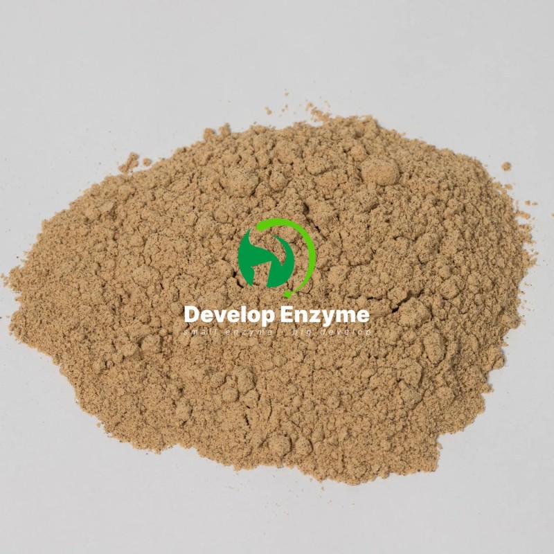 Factory Supply Livestock Poultry Feed Additive Thermostable Protease Powder Granule Enzyme