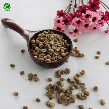 Yunnan Good Coffee Food Arabica Coffee Beans Green Beans