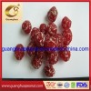 Good Quality Dried Plum with Stone From China