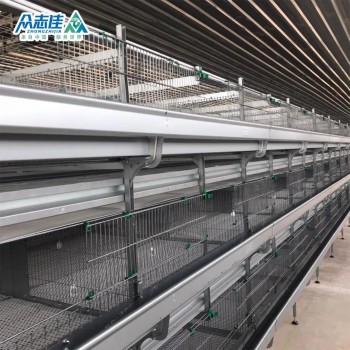 2025 Commercial Poultry Farm Use Design Layer Chicken Cages for Breeding Layer Chicken Broiler Chicken Model for Sale