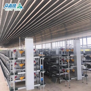 2025 Commercial Poultry Farm Use Design Layer Chicken Cages for Breeding Layer Chicken Broiler Chicken Model for Sale