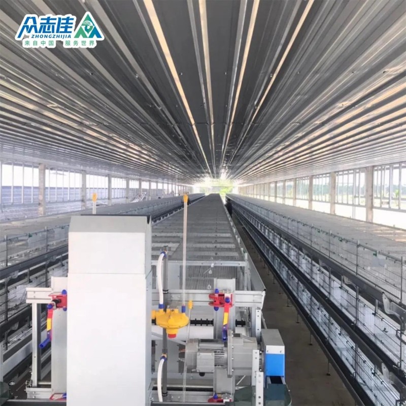 2025 Commercial Poultry Farm Use Design Layer Chicken Cages for Breeding Layer Chicken Broiler Chicken Model for Sale