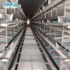 2025 Commercial Poultry Farm Use Design Layer Chicken Cages for Breeding Layer Chicken Broiler Chicken Model for Sale