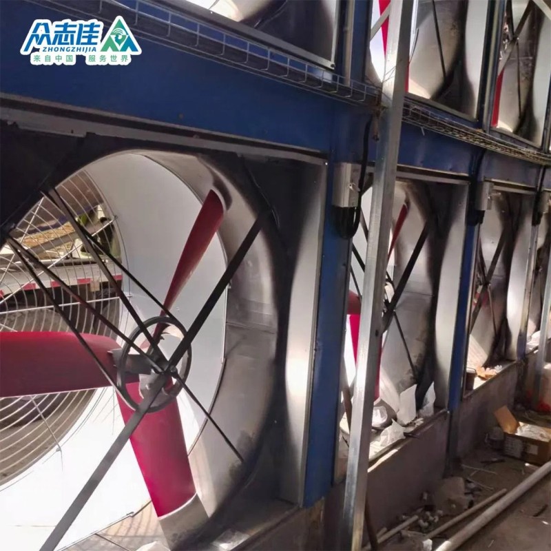 2025 Commercial Poultry Farm Use Design Layer Chicken Cages for Breeding Layer Chicken Broiler Chicken Model for Sale