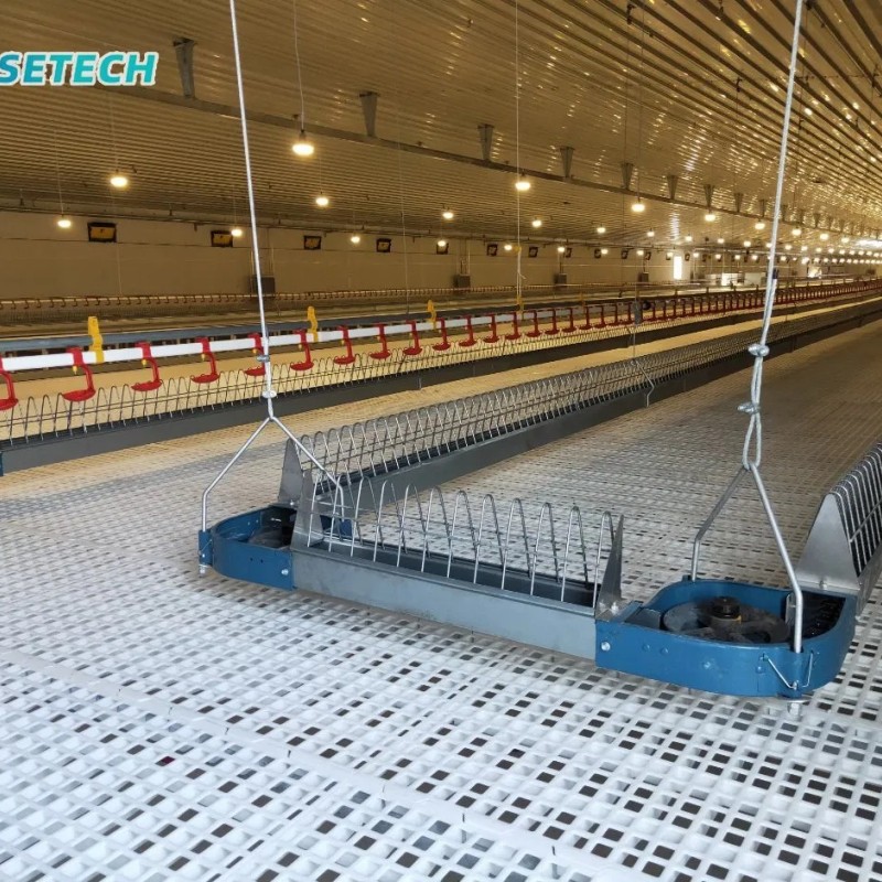Automatic Chicken Chain Feeding Laying Box Poultry Equipment for Breeder Chicken