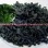 Hot Selling Soupmate Dark Green Color Edible Seaweed Dried Wakame Leaves Cut