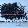 Hot Selling Soupmate Dark Green Color Edible Seaweed Dried Wakame Leaves Cut
