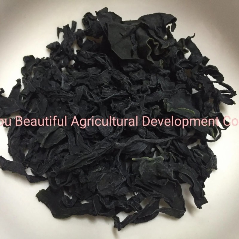 Hot Selling Soupmate Dark Green Color Edible Seaweed Dried Wakame Leaves Cut