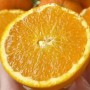High Quality Fresh Fruits Fresh Oranges Summer Oranges From China