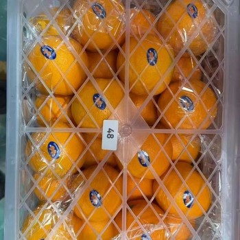 High Quality Fresh Fruits Fresh Oranges Summer Oranges From China
