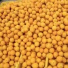 High Quality Fresh Fruits Fresh Oranges Summer Oranges From China