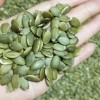 Pumpkin Seed Kernels New Crop Popular Chinese Snacks
