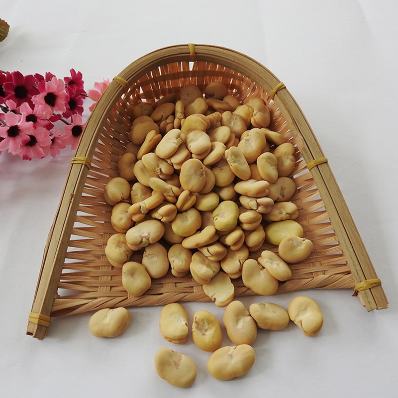 Bulk Supply SD Mango Powder