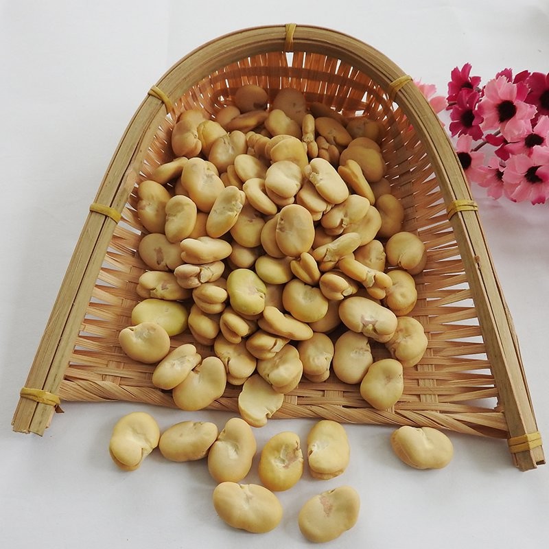 Natural Peeled Broad Beans High Quality by Hand