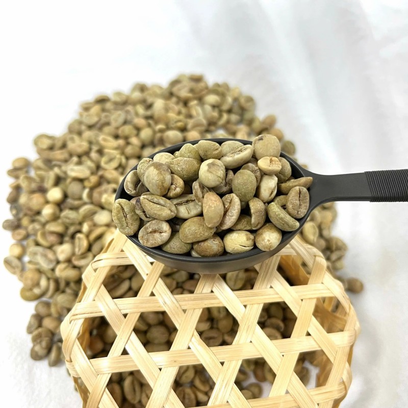 High-Quality 100% Raw Arabica Coffee Beans for Professional Use